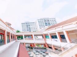 Hougang Green Shopping Mall (D19), Shop House #565092151